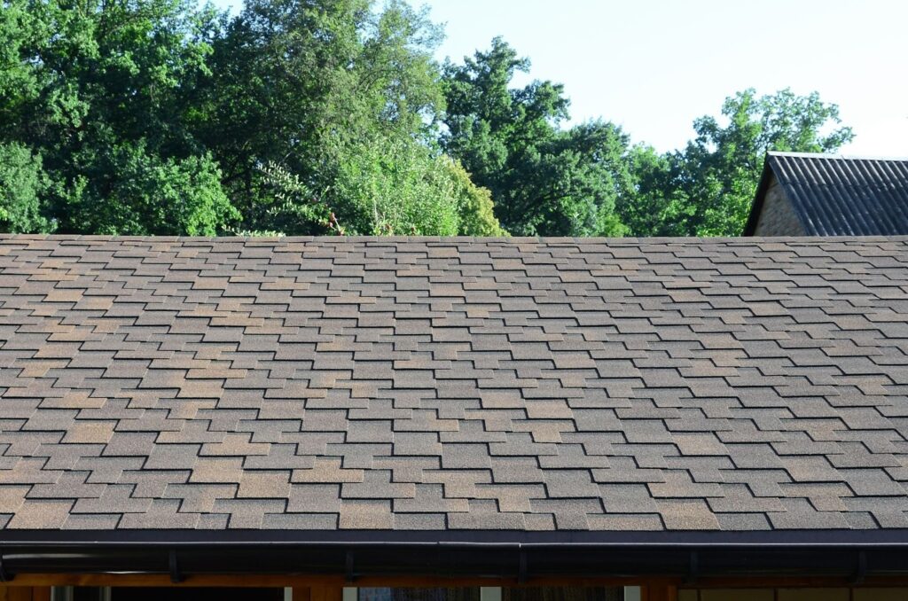 slate shingles on roof