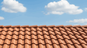 clean roof after roof surface cleaning in DFW