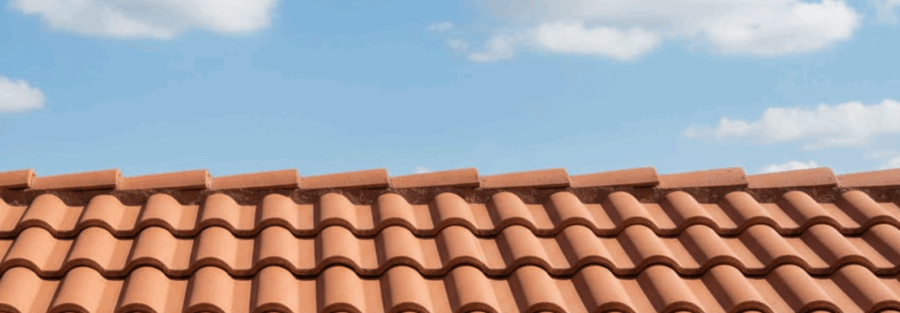 clean roof after roof surface cleaning in DFW