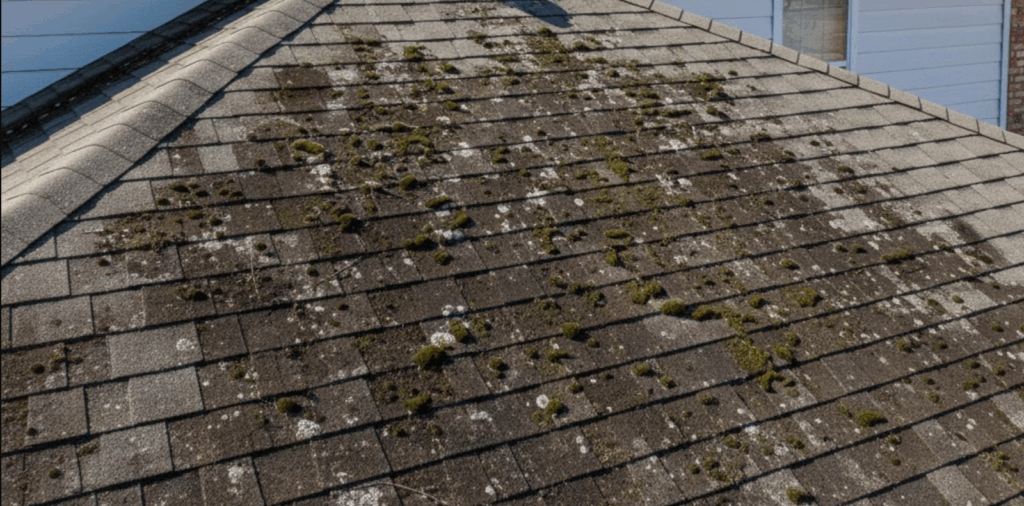 roof in need of cleaning